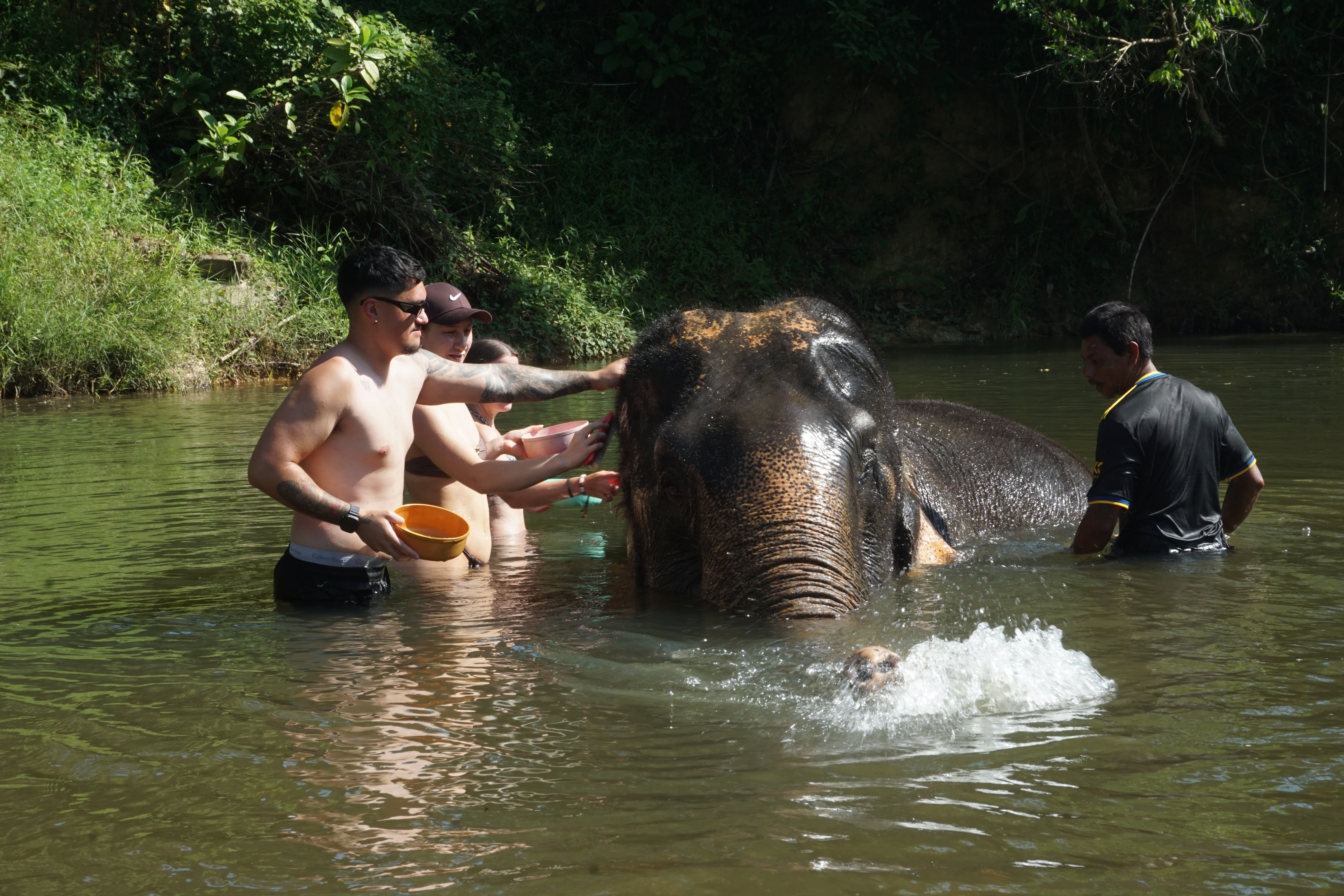 Mega 1 - Khao Sok & Cheow Lan Lake