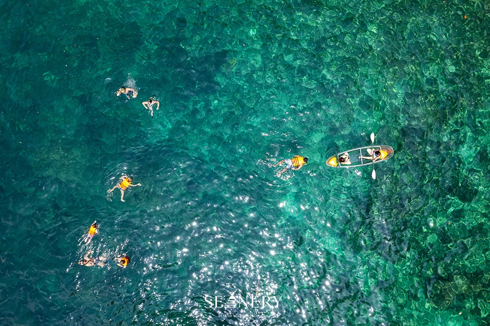 Phi Phi Island & Bamboo Island - New Speed Catamaran
