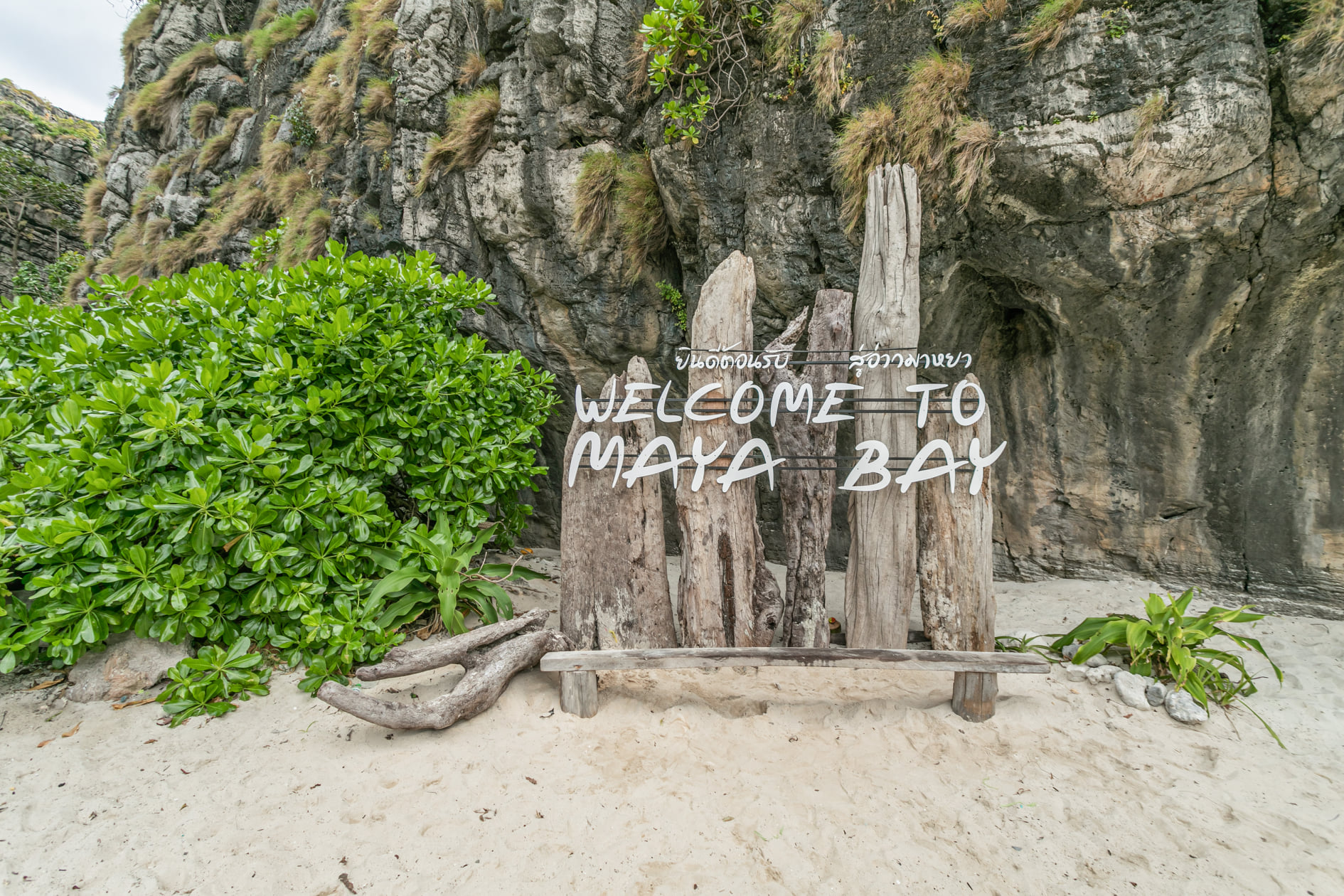 Phi Phi Island & Bamboo Island - New Speed Catamaran