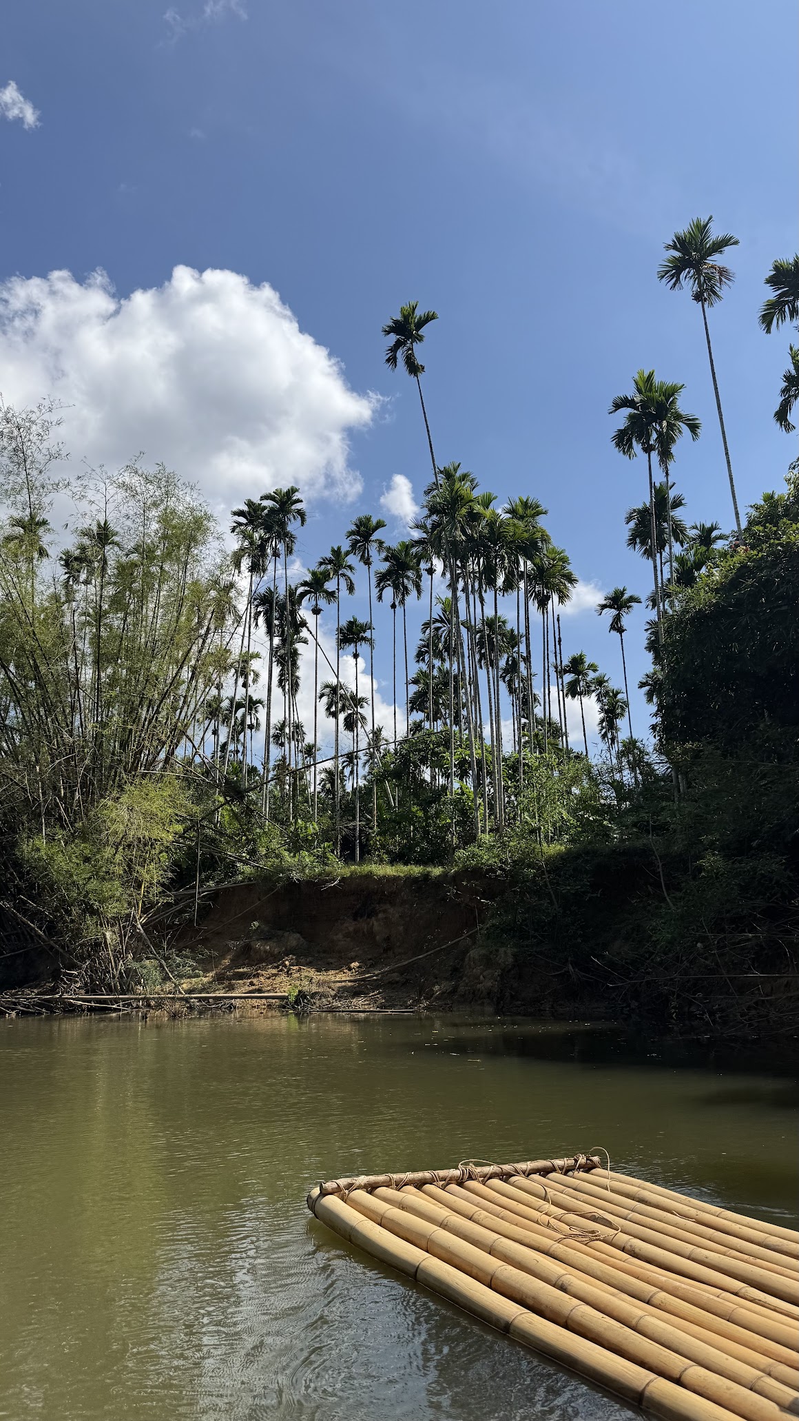 Mega 2 - Overnight At Rafthouse Khao Sok & Cheow Lan Lake Experience