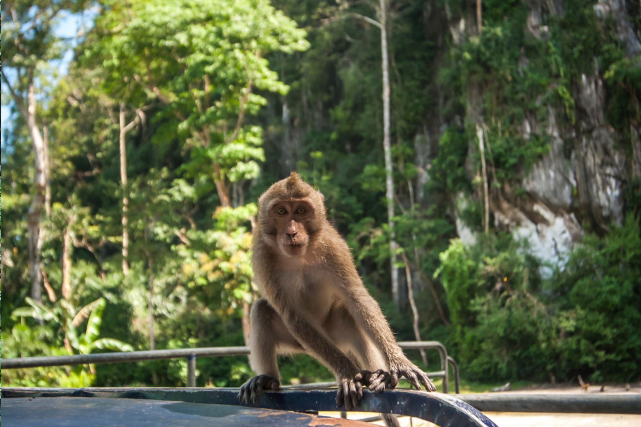 Mega 5 - 3 Days 2 Nights For 2 People Khao Sok & Cheow Lan Lake Explorer