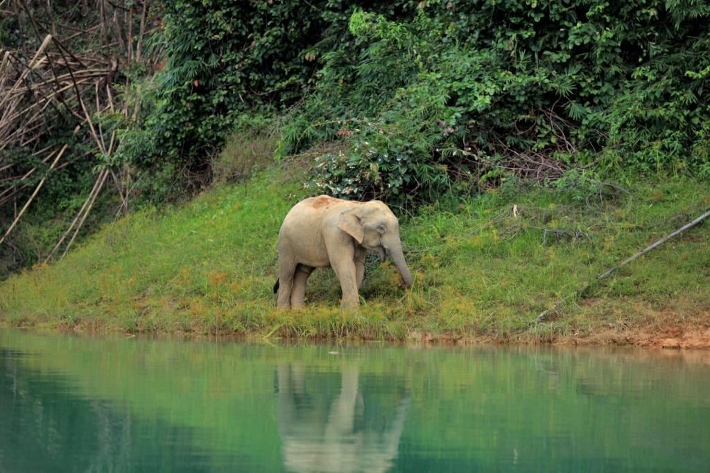 Mega 5 - 3 Days 2 Nights For 2 People Khao Sok & Cheow Lan Lake Explorer