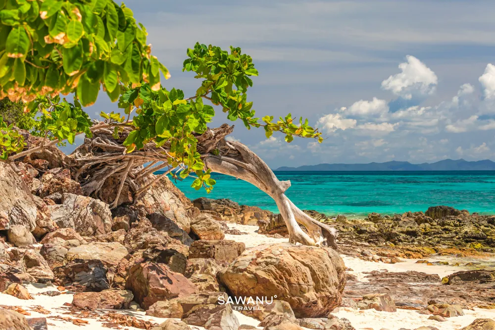 Phi Phi Island & Bamboo Island - Speed Catamaran - SWN