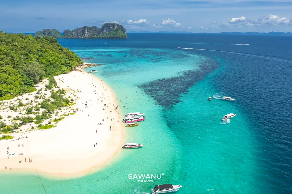 Phi Phi Island & Khai Island - Speed Catamaran - SWN
