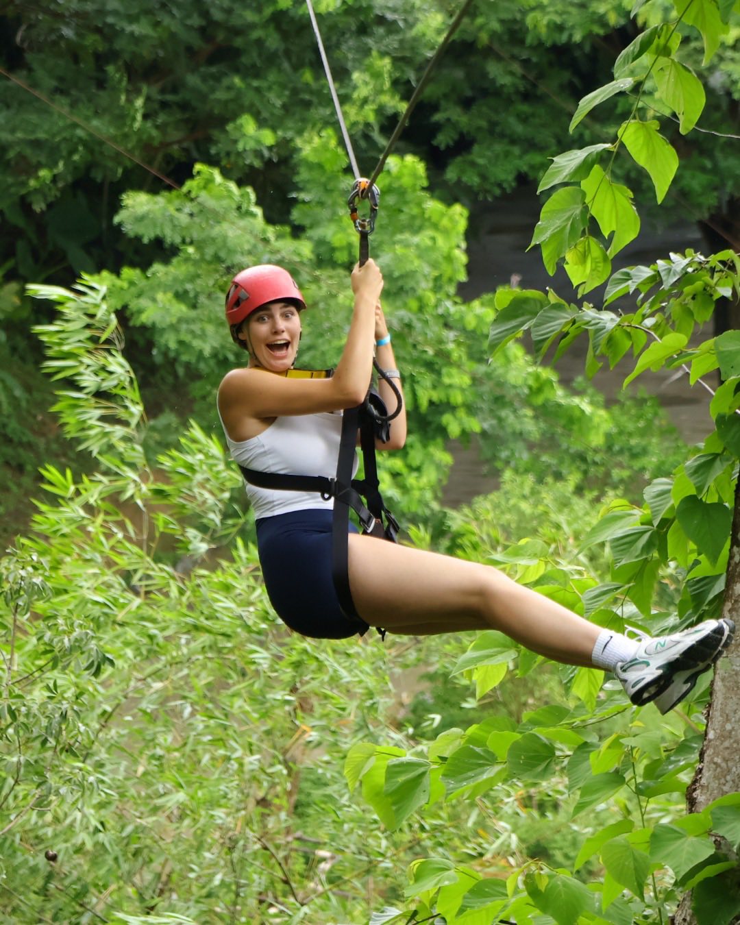 Hanuman Zipline 10 Platforms