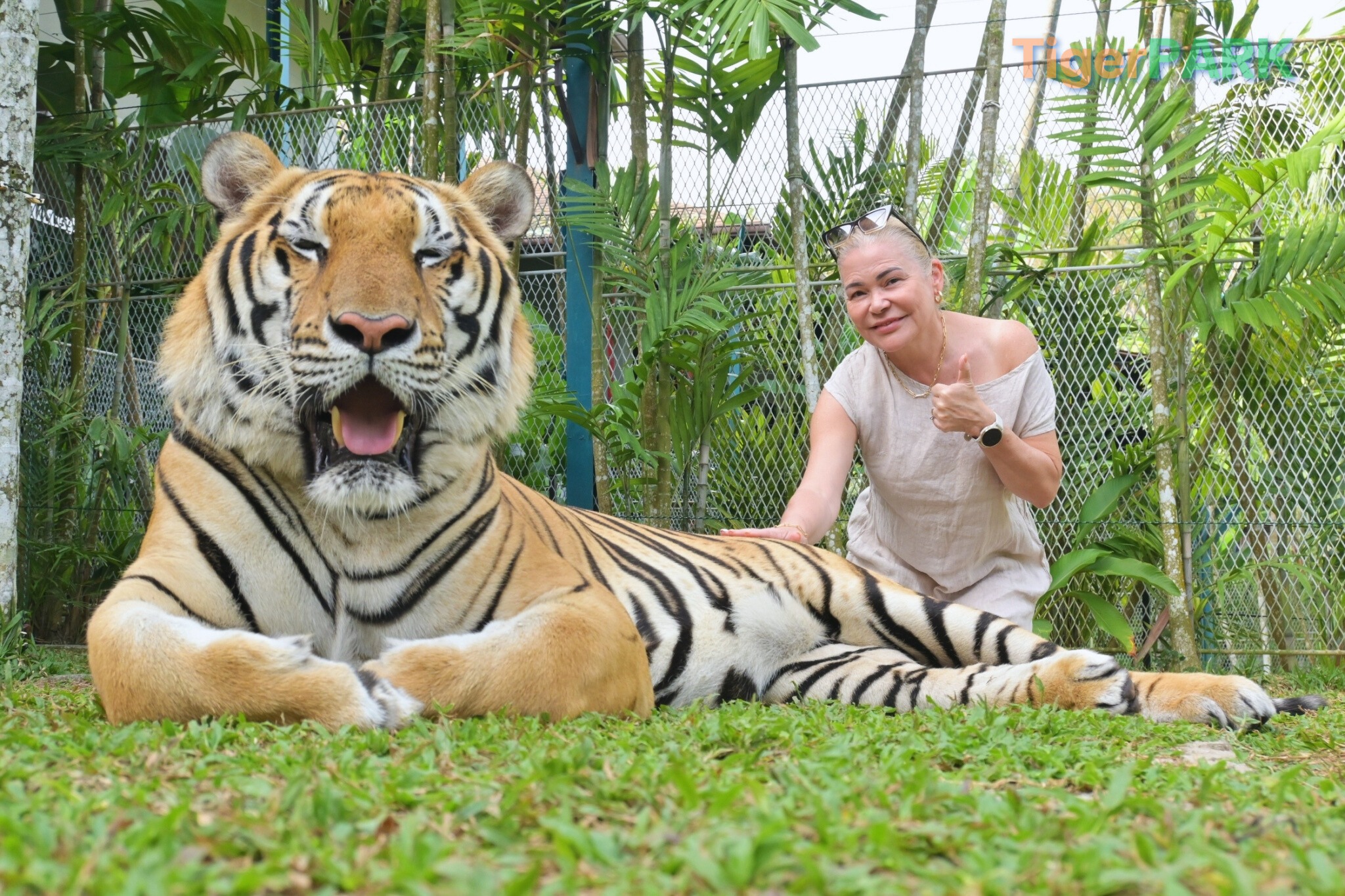 Phuket City Tour & Tiger