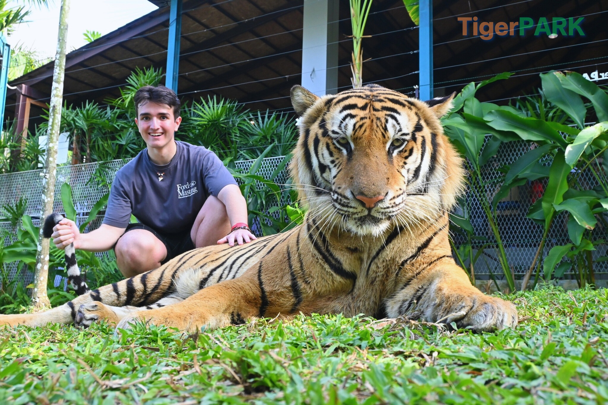 Phuket City Tour & Tiger