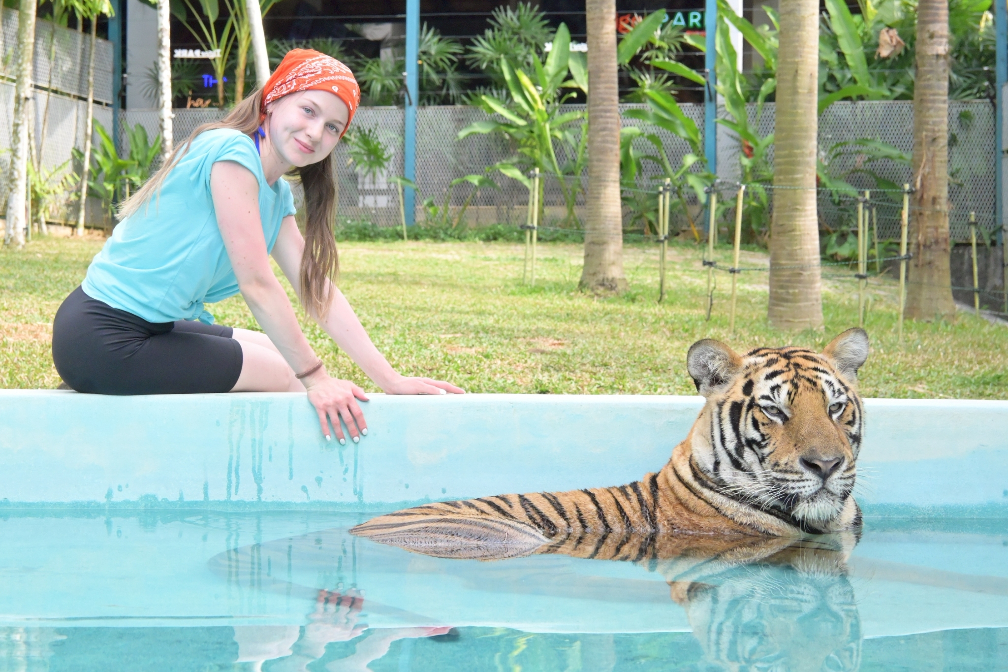 Phuket City Tour & Tiger