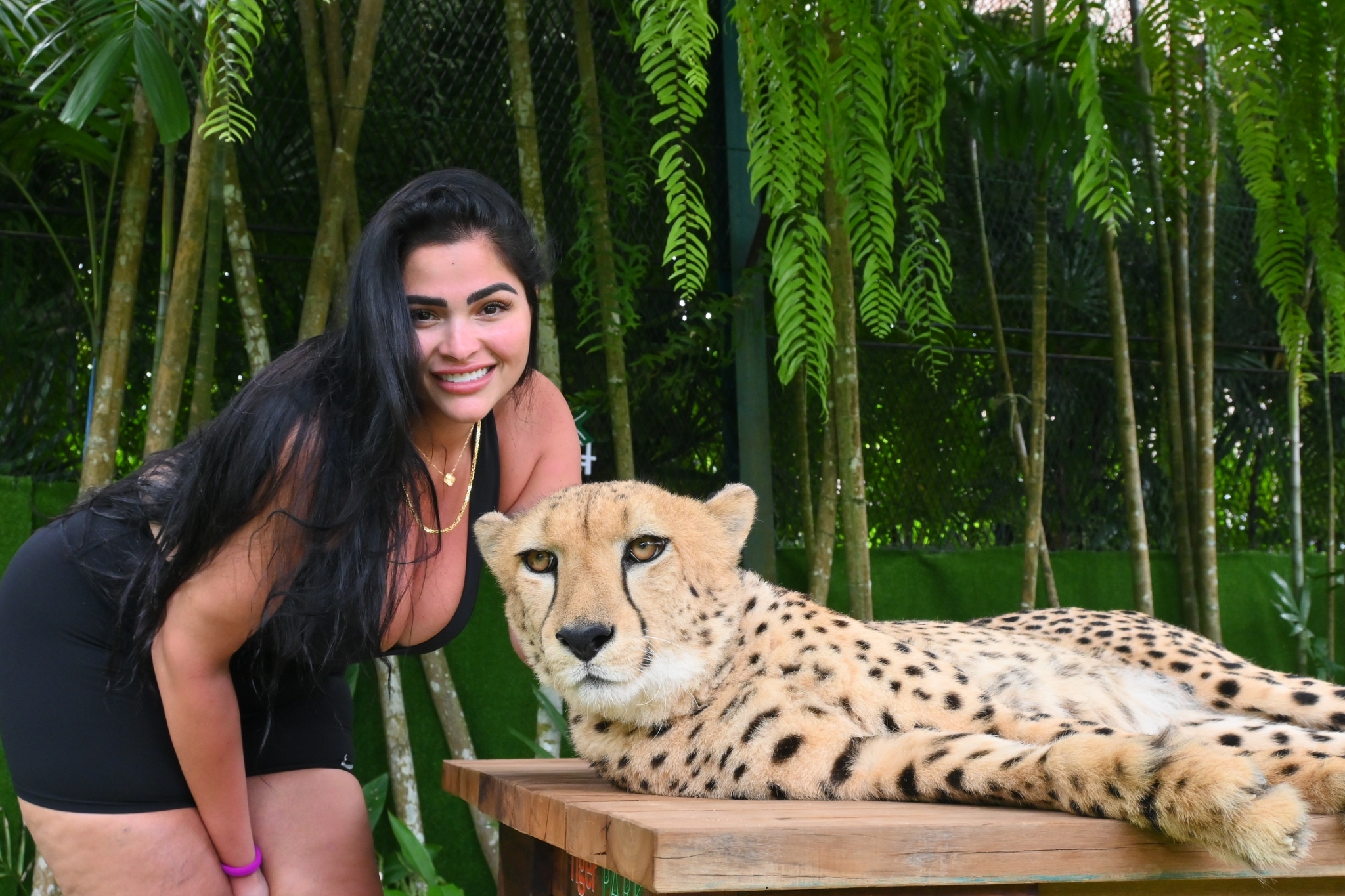 Phuket City Tour + Tiger Park + ATV