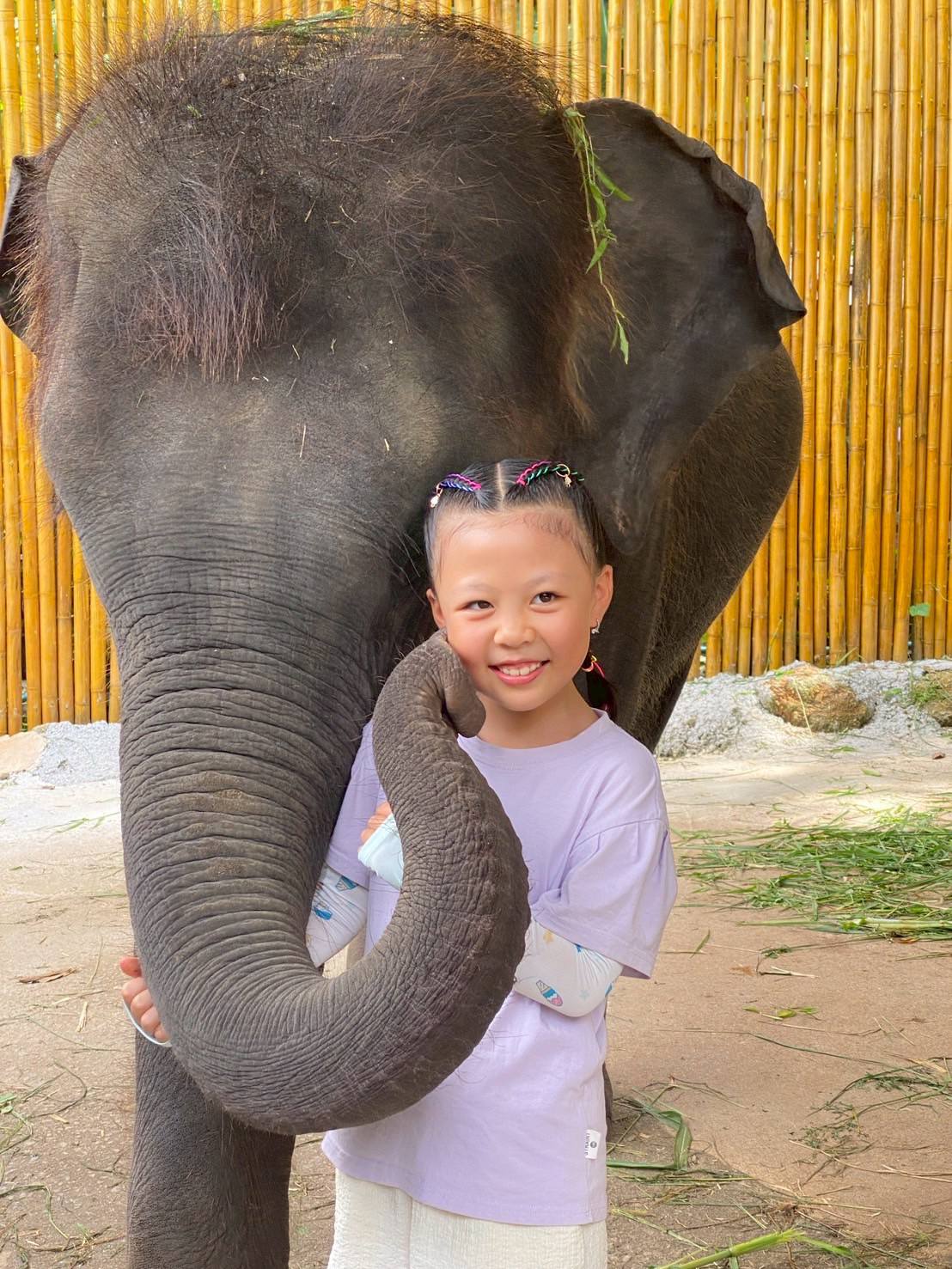Phuket City Tour + Tiger Park + ATV