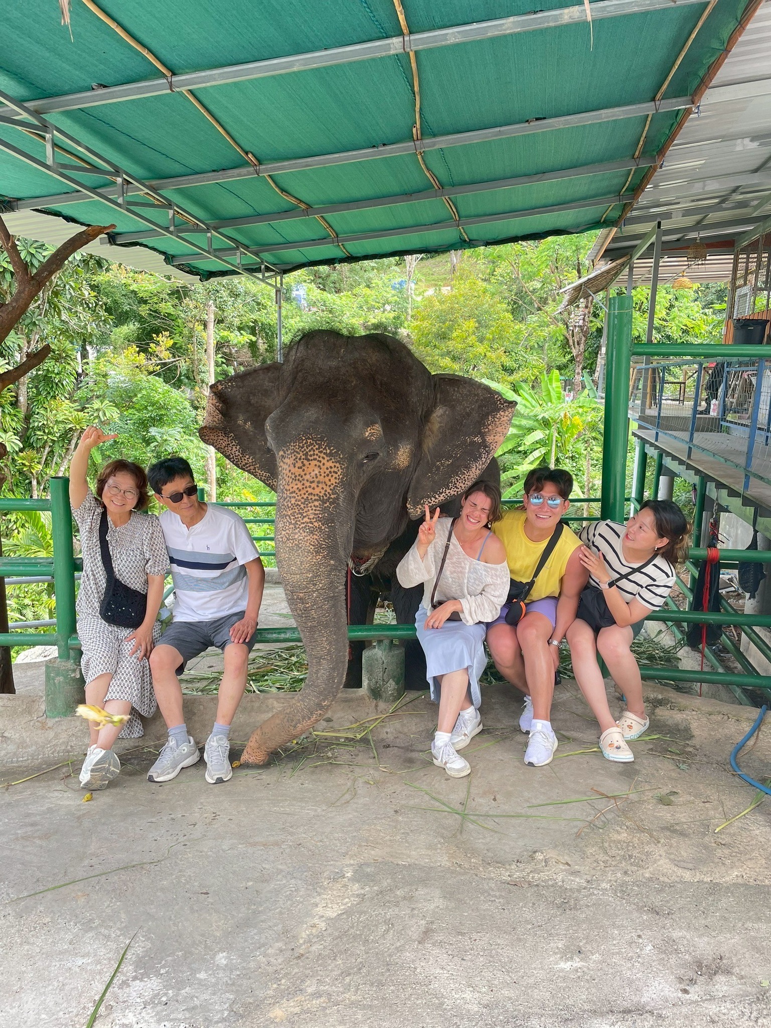 Phuket City Tour  + ATV + Elephant Trekking