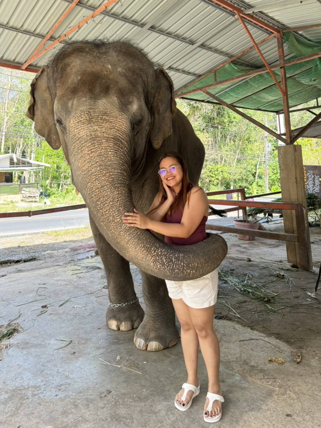 Phuket City Tour  + ATV + Elephant Trekking