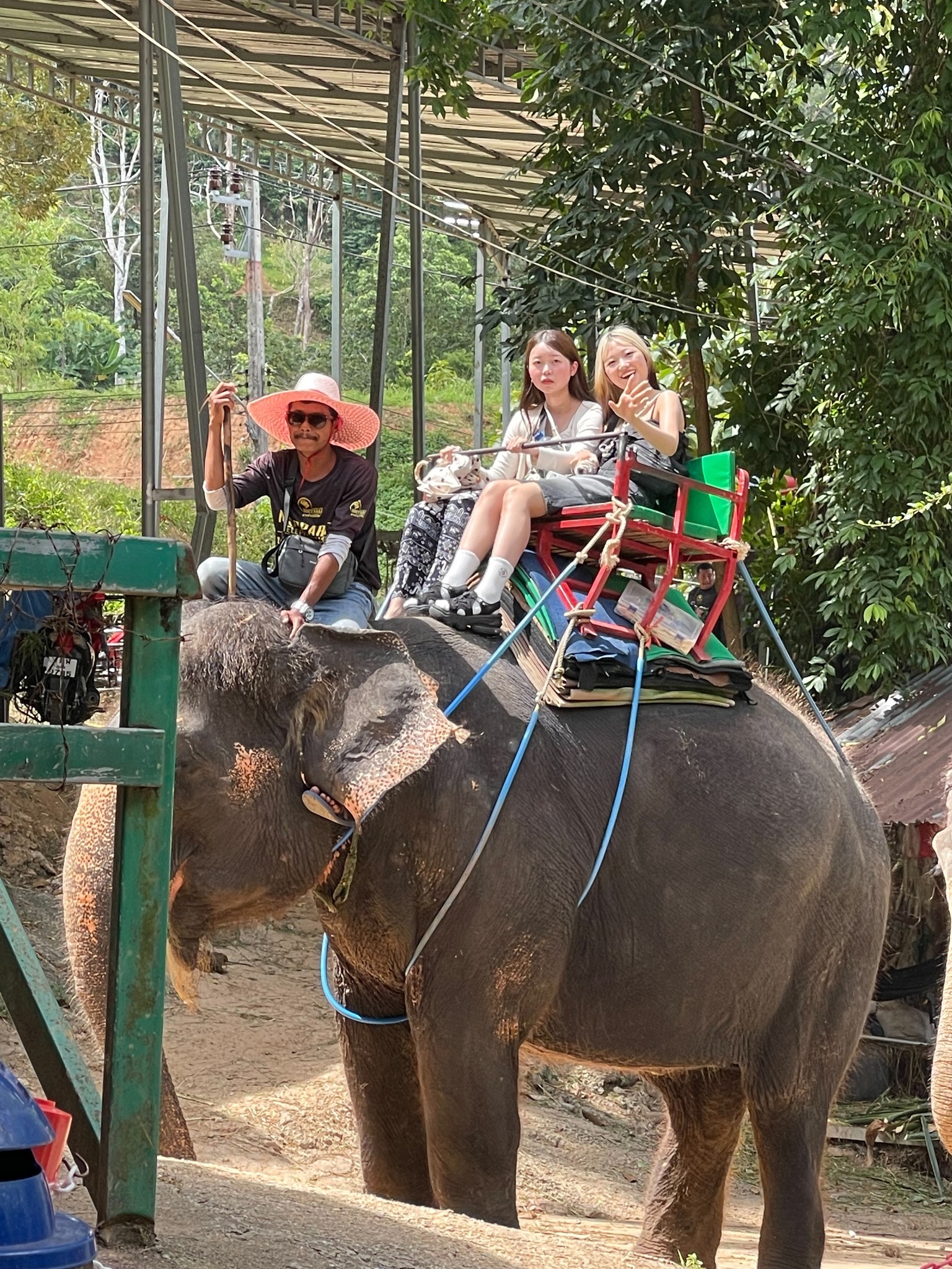 Phuket City Tour  + ATV + Elephant Trekking