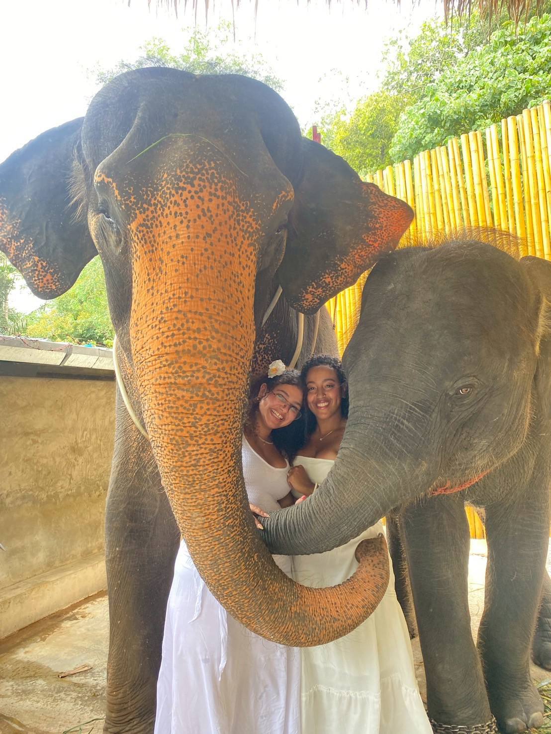 Phuket City Tour  + ATV + Elephant Trekking