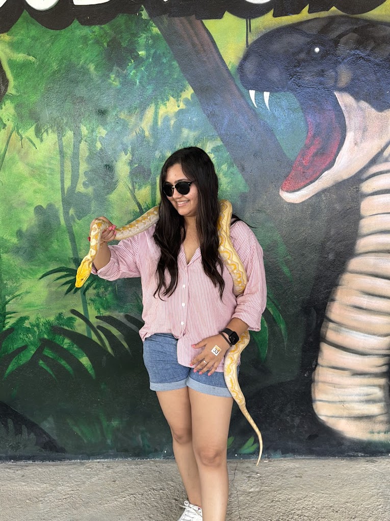 Phuket City Tour  + Snake Show