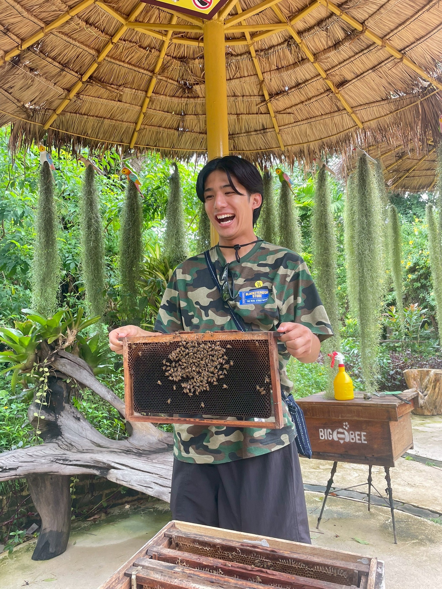 Phuket City Tour  + Snake Show
