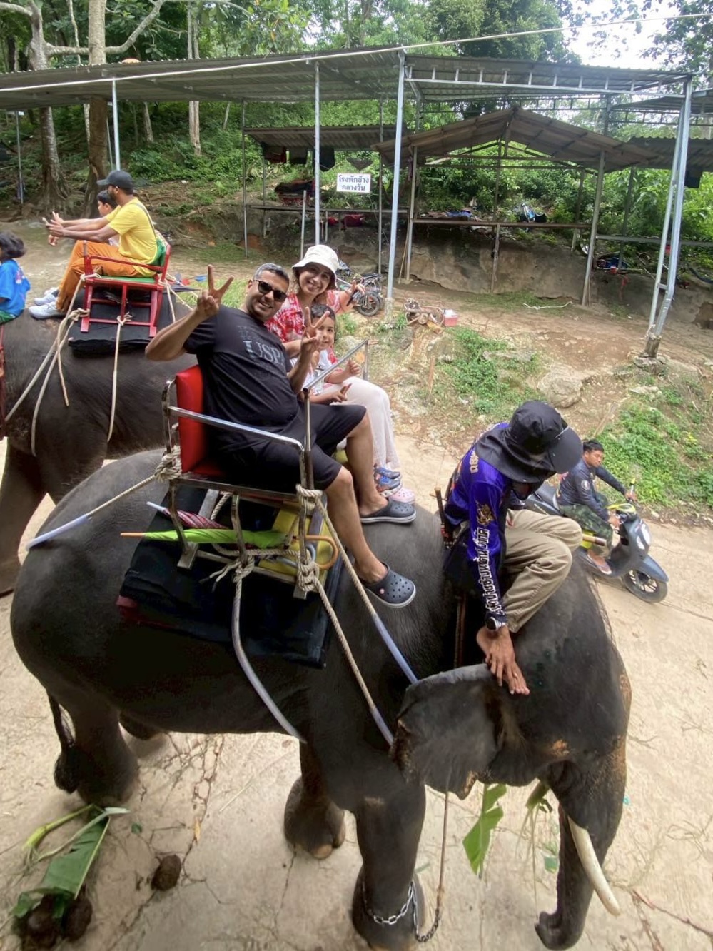 Phuket City Tour + Elephant Trekking