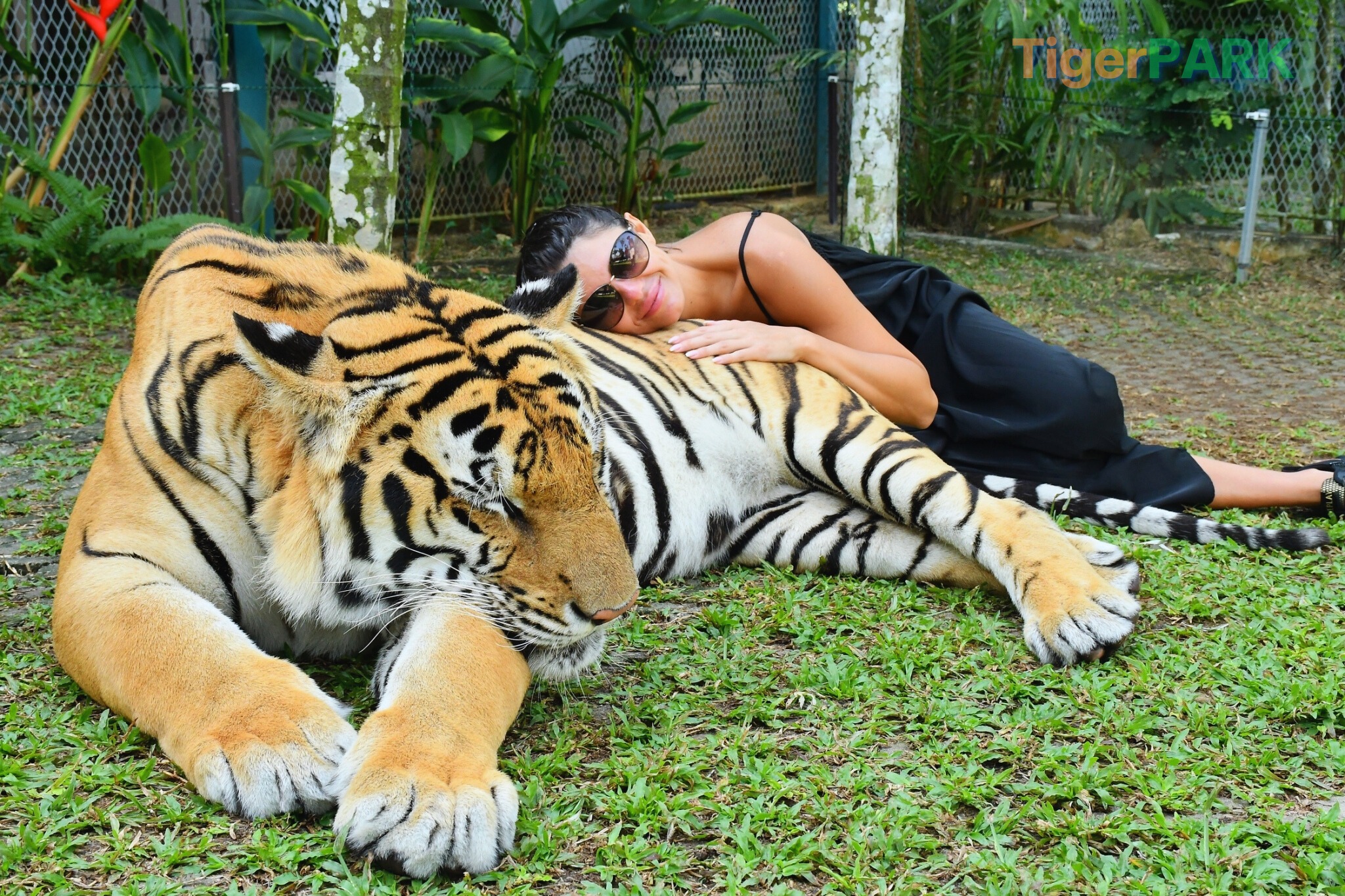 Phuket City Tour + Tiger Park + Elephant Trekking + ATV