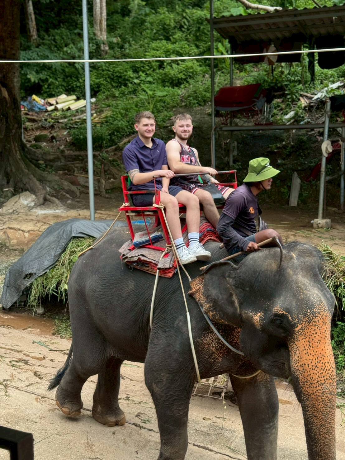 Phuket City Tour + Tiger Park + Elephant Trekking + ATV