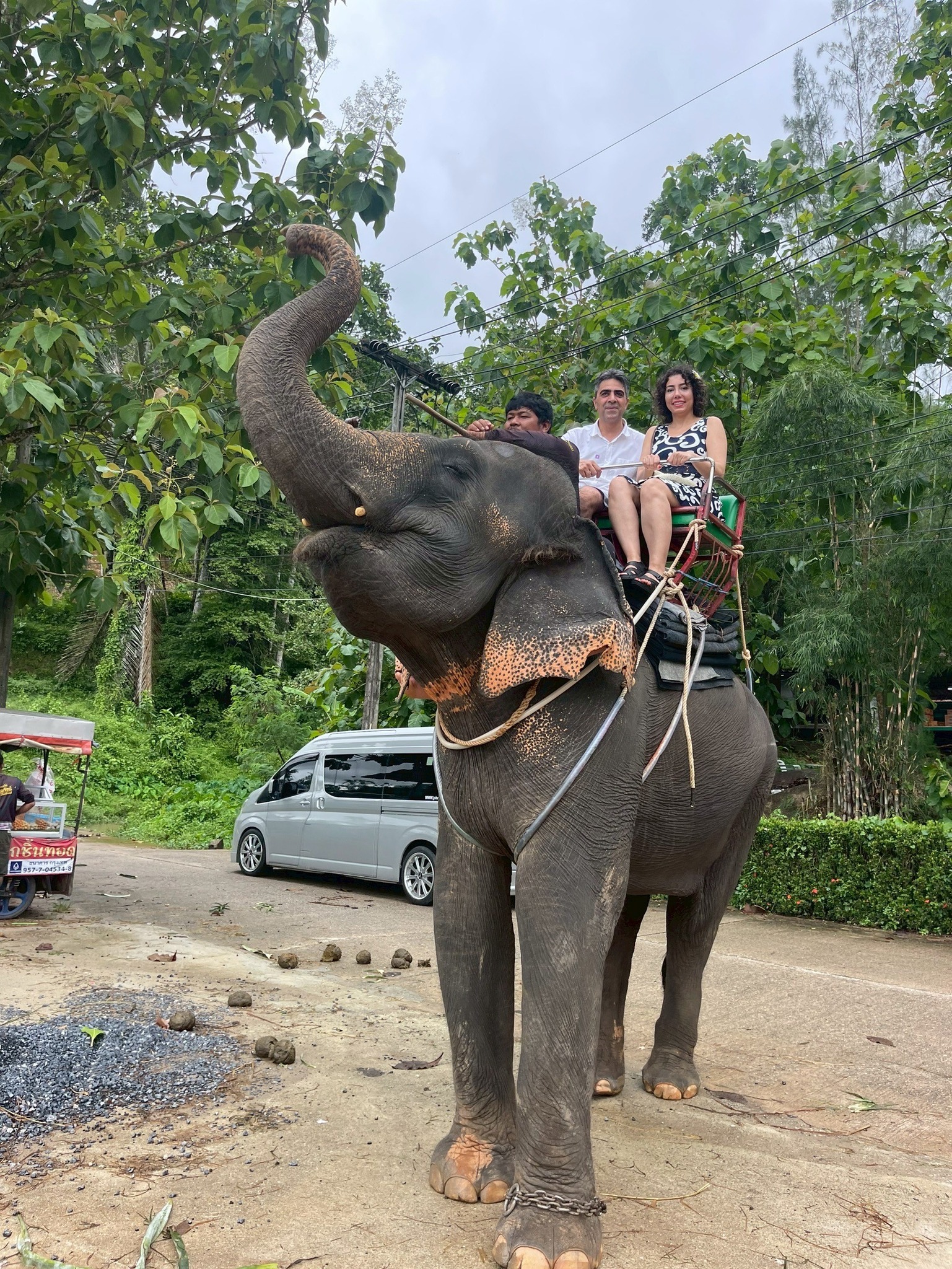Phuket City Tour + Tiger Park + Elephant Trekking + ATV